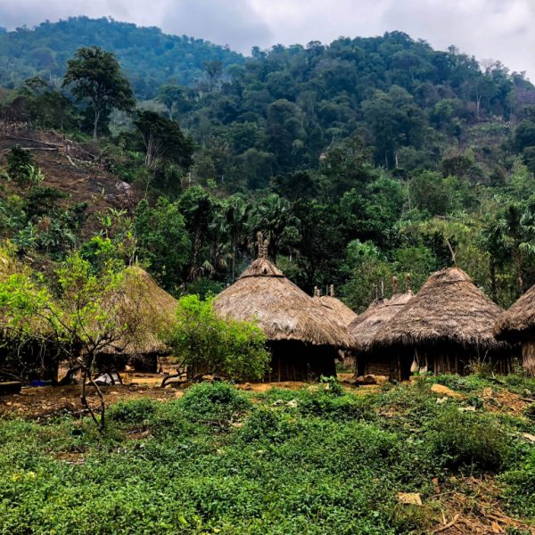 tour-a-ciudad-perdida-4-dias-izw1006